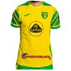 Virallinen Fanipaita Norwich City Kotipelipaita 2021-22 - Miesten